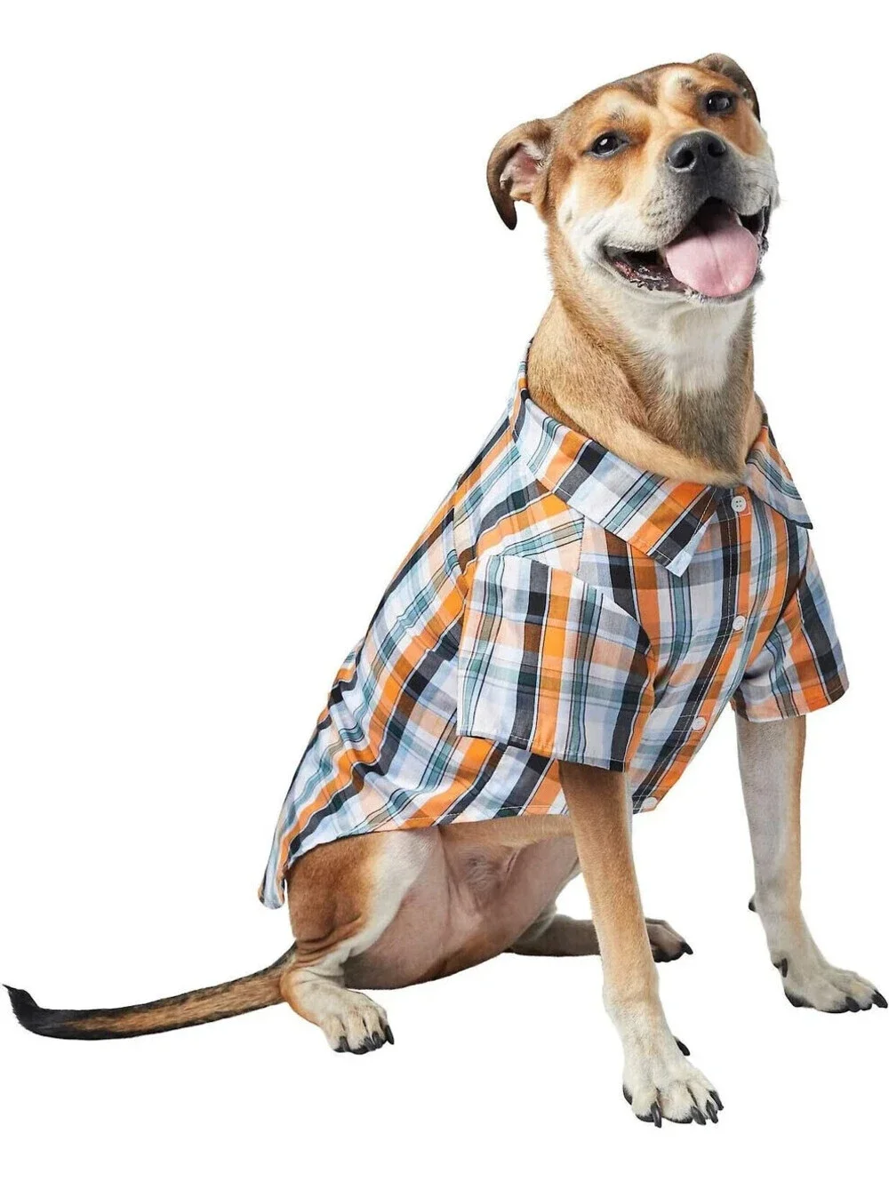 FRISCO ORANGLE BLUE WHITE PLAID DOG & CAT PET BUTTON UP SHIRT MEDIUM